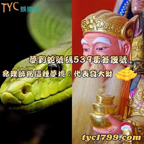 路上看到蛇代表什麼|【看到蛇代表】看到蛇代表好運還是厄運？解密「蛇」。